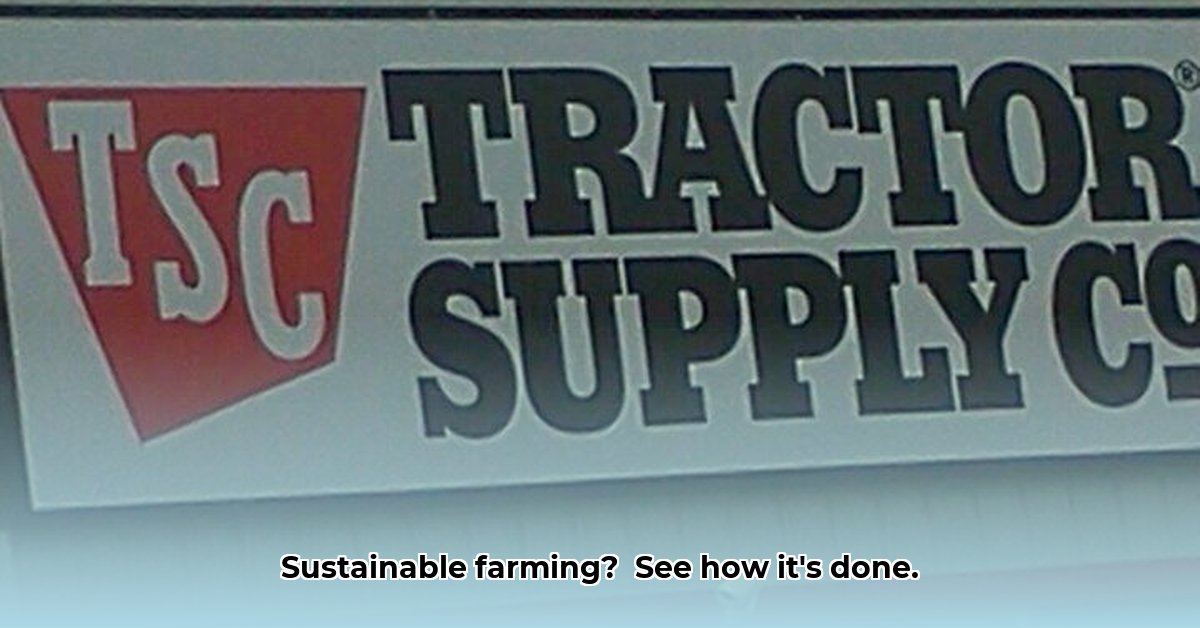 new-braunfels-tractor-supply